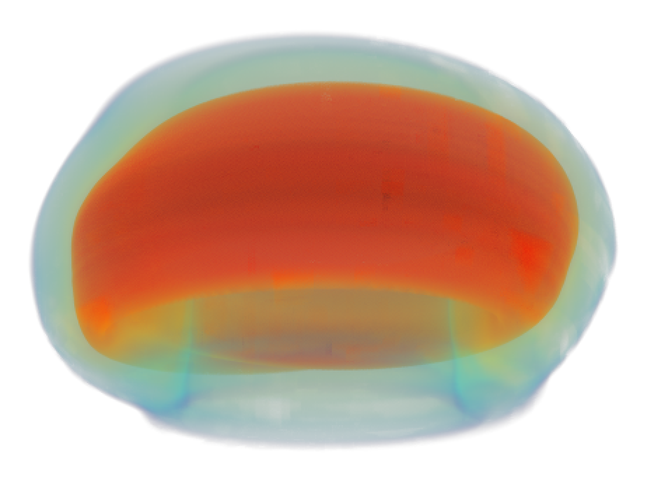 SIMD Parallel Raytracing of Unstructured Polyhedral Grids